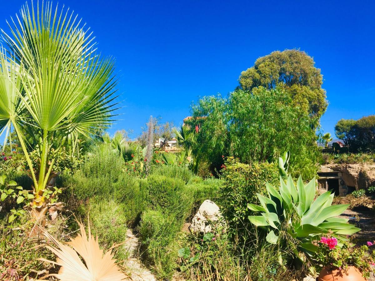 Tenerife Nature Retreat Ifonche Eksteriør billede