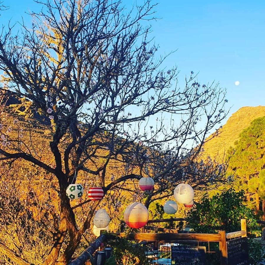 Tenerife Nature Retreat Ifonche Eksteriør billede