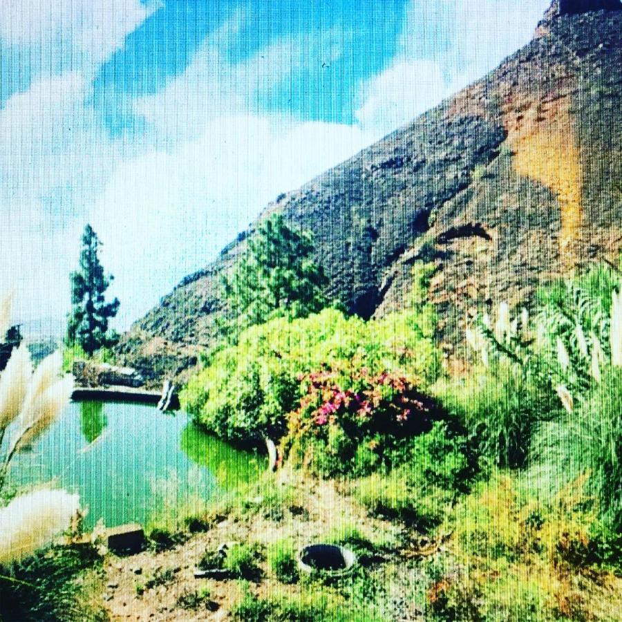 Tenerife Nature Retreat Ifonche Eksteriør billede